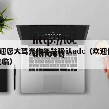 0欢迎您大驾光临年龄确认adc（欢迎你大驾光临）